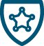 icon shield icon shield